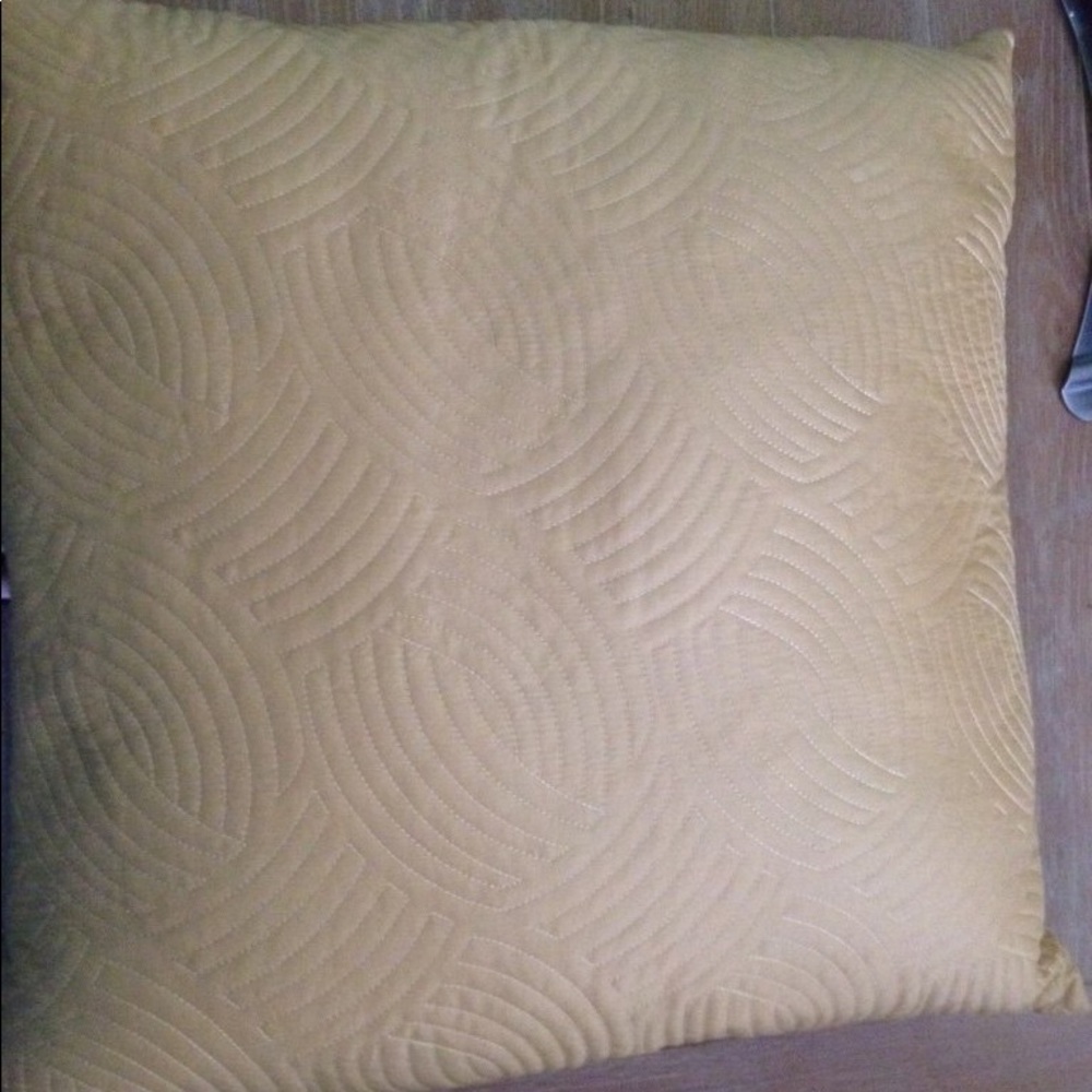 Gold Down Filled Square Accent Throw Pillow